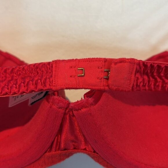 Agent Provocateur ‘BIRTHDAY SUIT’ Bra in Red SILK size 3 (34C) - Picture 7 of 16